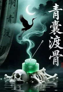 青囊渡骨 封面