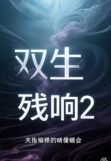 雙生殘響2 封面