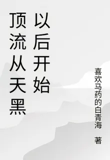 頂流從天黑以後開始 封面