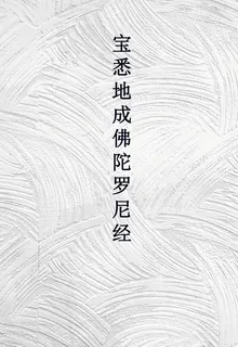 寶悉地成佛陀羅尼經 封面