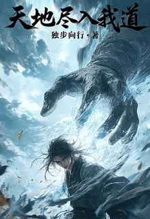 天地盡入我道 封面