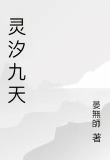 靈汐九天 封面