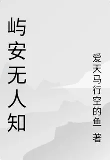 嶼安無人知 封面
