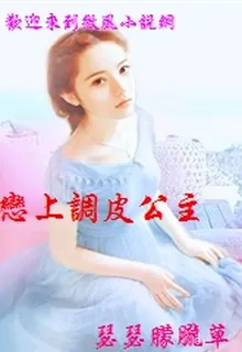 戀上調皮公主 封面