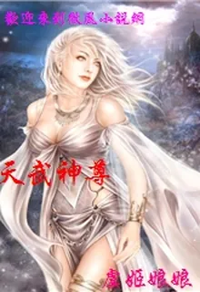 天武神尊 封面