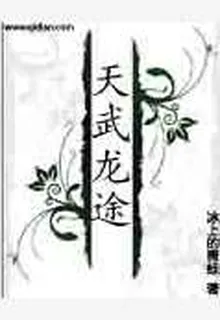 天武龍途 封面