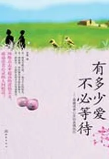 有多少愛不必等待 封面