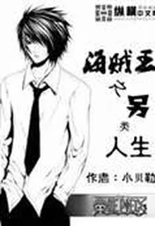 海賊王之另類人生 封面