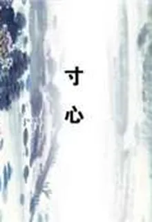 寸心 封面