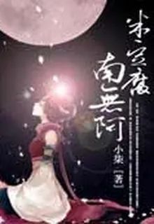 南無阿米豆腐 封面