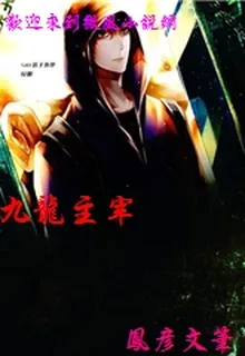 九龍主宰 封面