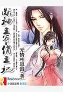 斷袖王爺俏王妃 封面