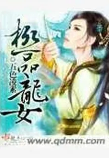 極品龍女 封面