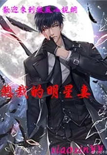 總裁的明星妻 封面
