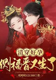 清穿好孕：側福晉又生了 封面