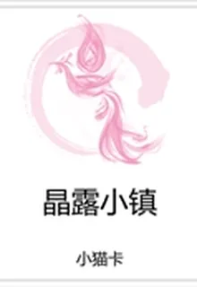 晶露小鎮 封面