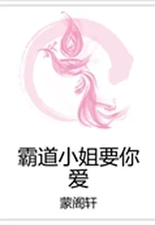 霸道小姐要你愛 封面