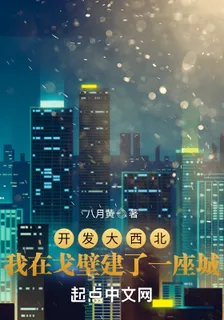 開發大西北：我在戈壁建了一座城 封面