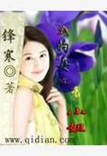 我的女友是小姐 封面