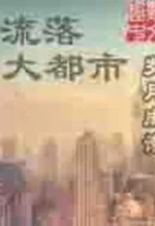 流落大都市 封面