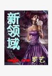 心域 封面