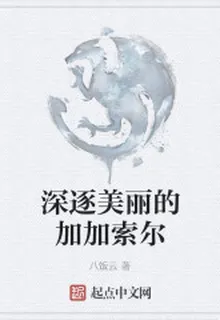 深逐美麗的加加索爾 封面