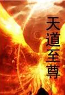 天道至尊 封面