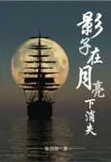 影子在月亮下消失 封面