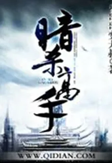 暗殺高手 封面