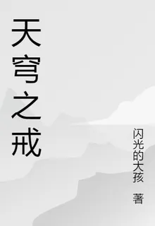 天穹之戒 封面