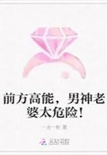 前方高能，男神老婆太危險！ 封面