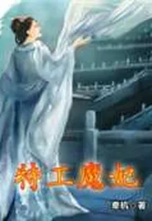 特工魔妃 封面