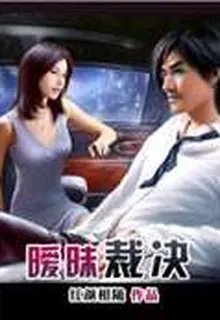 曖昧裁決 封面