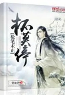 槍筆未止杯莫停 封面
