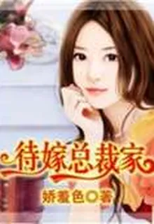 待嫁總裁家 封面