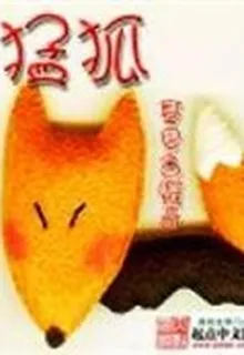 猛狐 封面
