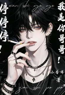 停停停！我是你哥哥！ 封面