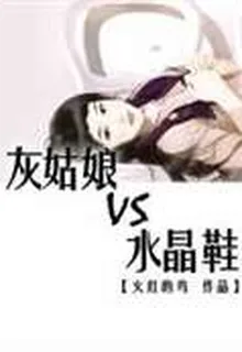 灰姑娘VS水晶鞋 封面