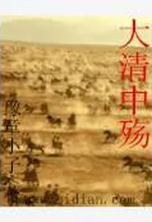 大清中殤 封面