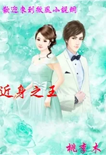 近身之王 封面