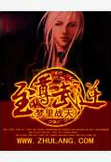 至尊武脈 封面