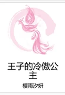 王子的冷傲公主 封面