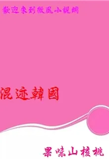 混跡韓國 封面