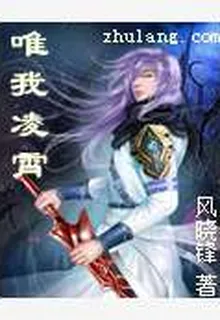 唯我凌霄 封面