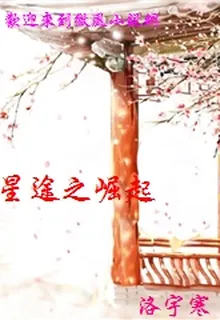 星途之崛起 封面
