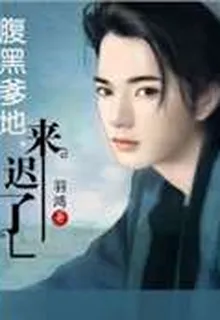 腹黑爹地，來遲了 封面