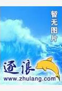 崛天 封面