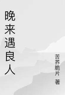 晚來遇良人 封面