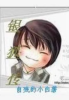 銀狐傳 封面