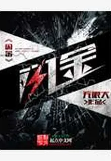 閃金 封面